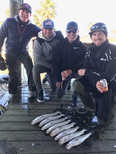 Reel In The Bay With Captain Harry In Hitchcock