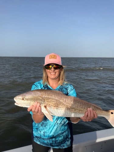 Half Day Bay Fishing With Captain Harry In Hitchcock