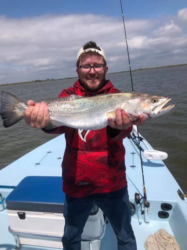 Reel In The Bay With Captain Harry In Hitchcock