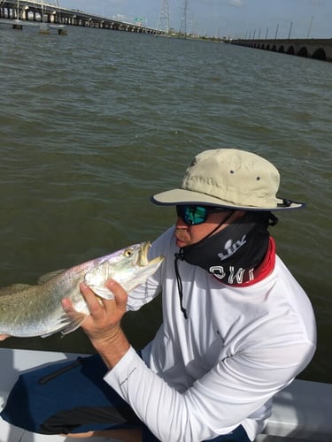 Half Day Bay Fishing With Captain Harry In Hitchcock