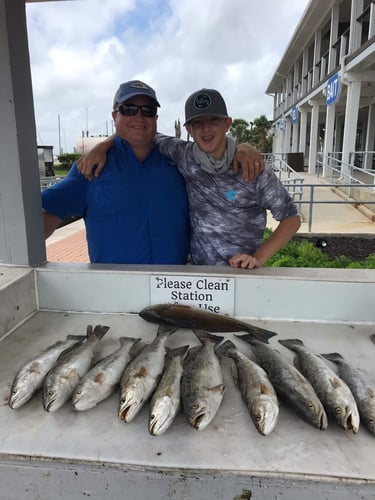 Reel In The Bay With Captain Harry In Hitchcock