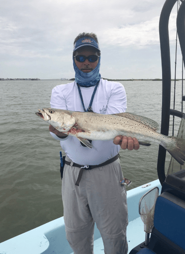 Reel In The Bay With Captain Harry In Hitchcock