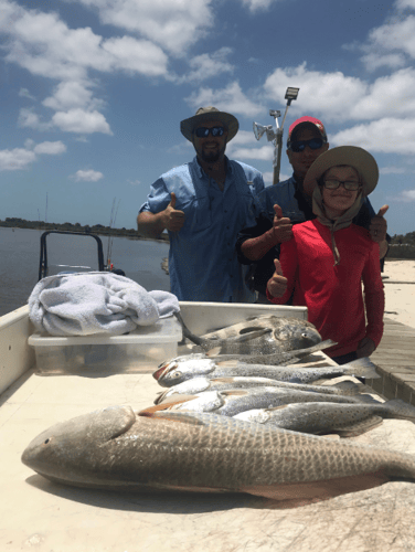 Reel In The Bay With Captain Harry In Hitchcock