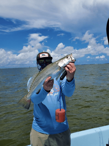 Half Day Bay Fishing With Captain Harry In Hitchcock