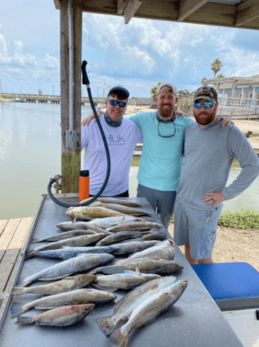 Reel In The Bay With Captain Harry In Hitchcock