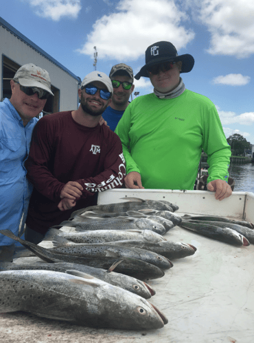 Reel In The Bay With Captain Harry In Hitchcock