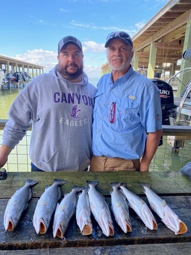 Reel In The Bay With Captain Harry In Hitchcock