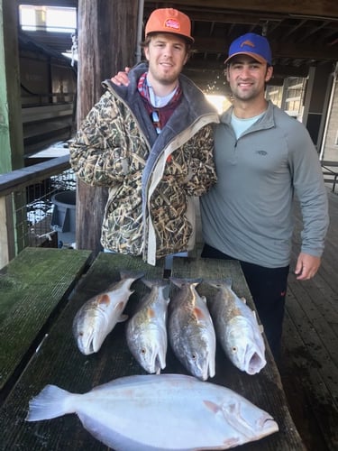 Reel In The Bay With Captain Harry In Hitchcock