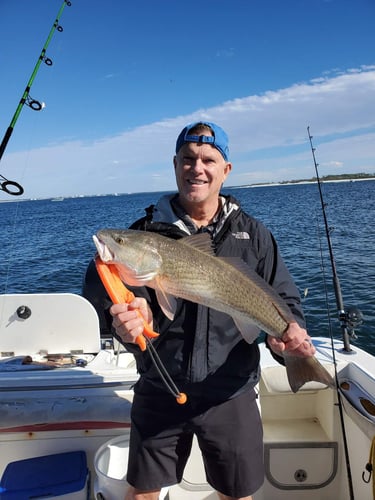 4 Hour Trip - 32' Scarab In Panama City Beach