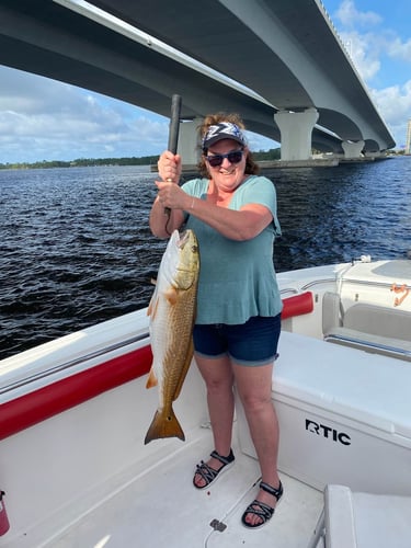 4 Hour Trip - 32' Scarab In Panama City Beach