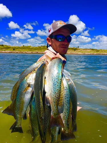 Speckled Trout Trip In Aransas Pass