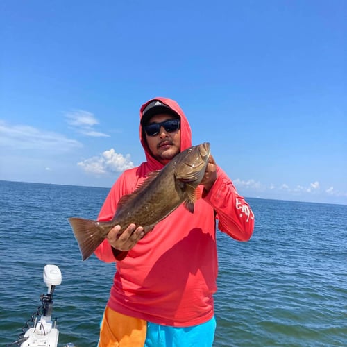 Full Day or 3/4 Day Fishing Trip - 20’ Scout