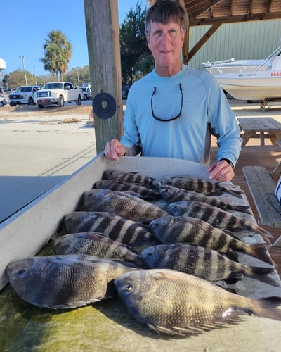 Slaying Sheepshead - 24' Pathfinder in Jacksonville