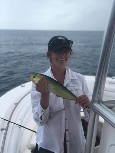 Full Day/Half Day Nearshore in Carrabelle