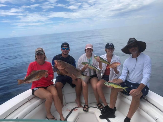 Full Day/Half Day Nearshore in Carrabelle
