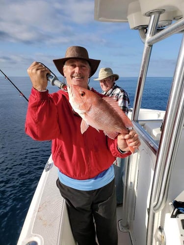 Full Day/Half Day Nearshore in Carrabelle