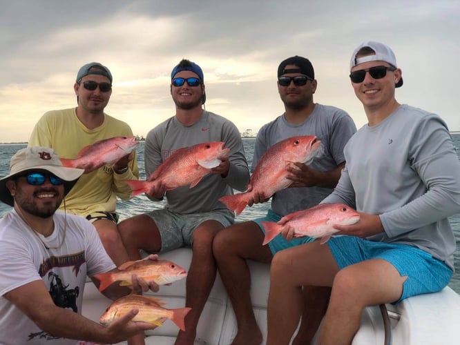 Full Day/Half Day Nearshore in Carrabelle
