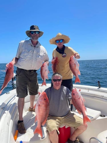 Full Day/Half Day Nearshore in Carrabelle