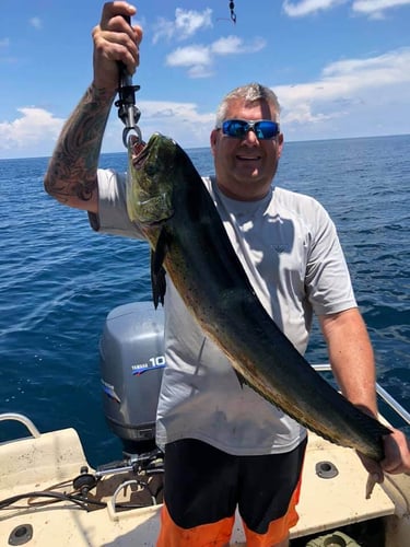 Full Day/Half Day Nearshore in Carrabelle