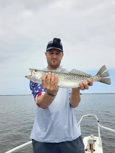 Inshore Fishing Excursion In St. Petersburg