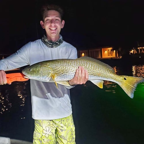 Florida Classics on Light Tackle in St. Petersburg