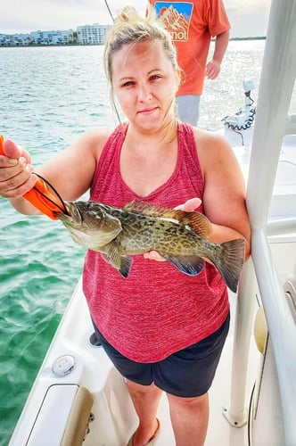 Florida Classics on Light Tackle in St. Petersburg