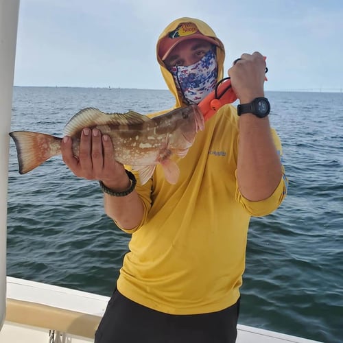 Florida Classics on Light Tackle in St. Petersburg