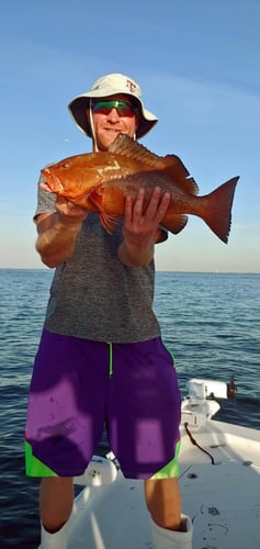 Florida Classics on Light Tackle in St. Petersburg