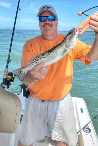 Florida Classics on Light Tackle in St. Petersburg