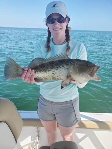 Florida Classics on Light Tackle in St. Petersburg