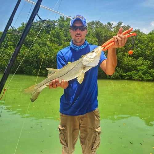 Florida Classics on Light Tackle in St. Petersburg