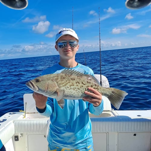 Full Day Offshore in Gulfport
