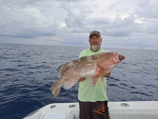 Full Day Offshore In Gulfport