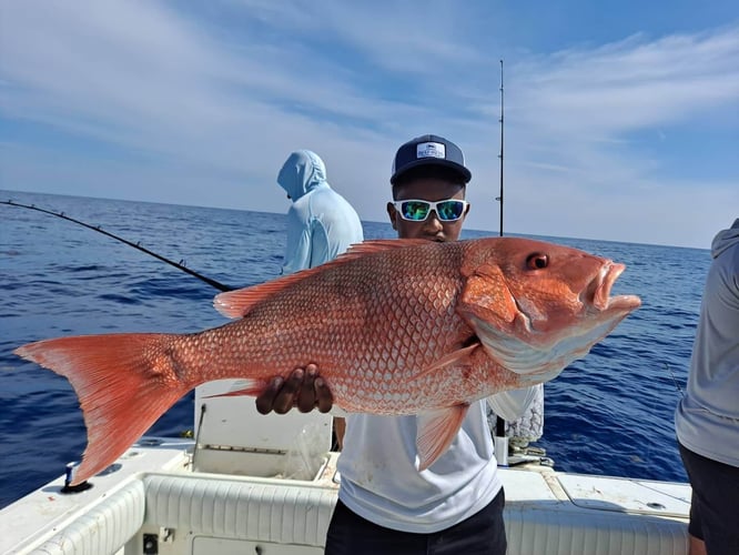 Full Day Offshore In Gulfport