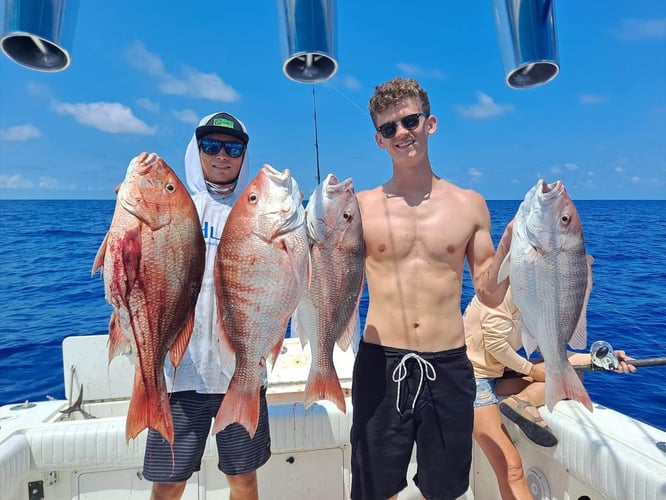 Full Day Offshore in Gulfport