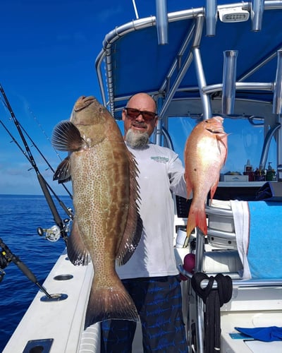 Full Day Offshore in Gulfport