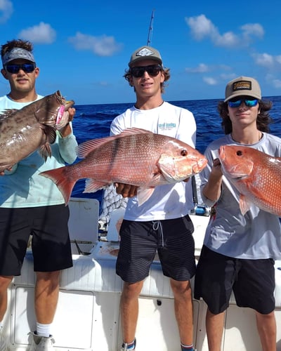 Full Day Offshore In Gulfport