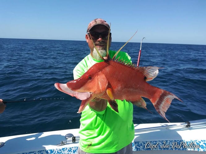 Full Day Offshore in Gulfport