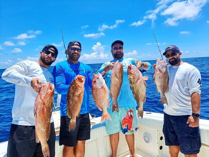 Full Day Offshore In Gulfport