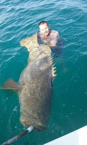 Full Day Offshore in Gulfport