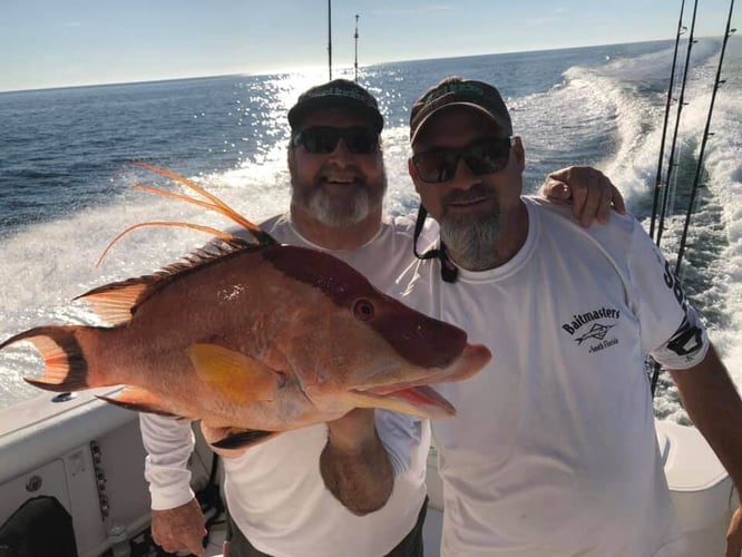 Full Day Offshore in Gulfport