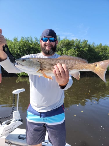 St. Petersburg Inshore Slam In St. Petersburg