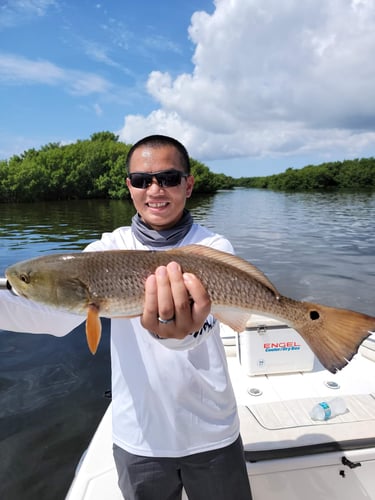 St. Petersburg Inshore Slam In St. Petersburg