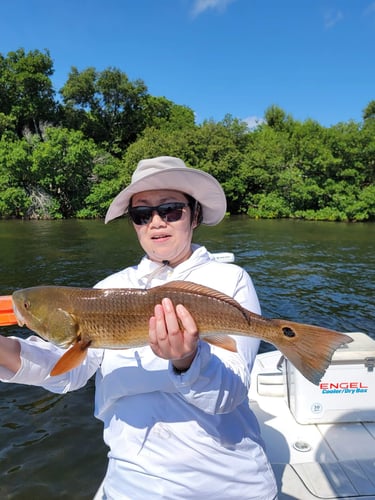 St. Petersburg Inshore Slam In St. Petersburg