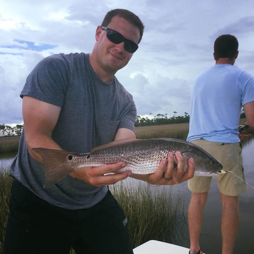 Inshore Slammin' - 22' Pathfinder In Panama City Beach