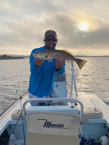 Inshore Slammin' - 22' Pathfinder In Panama City Beach