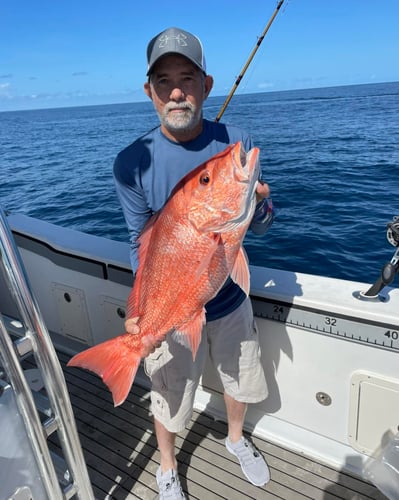 8 Hour Offshore Trip in Freeport
