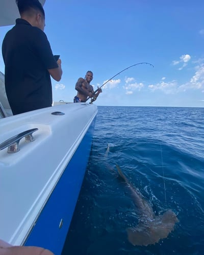 12 Hour Freeport Offshore Adventure in Freeport