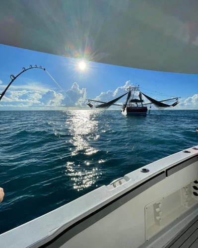 12 Hour Freeport Offshore Adventure in Freeport