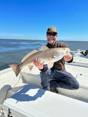 Exploring The Louisiana Marsh In New Orleans